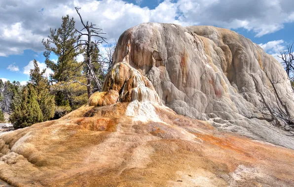 Картинка деревья, горы, природа, USA, США, Wyoming, гора.