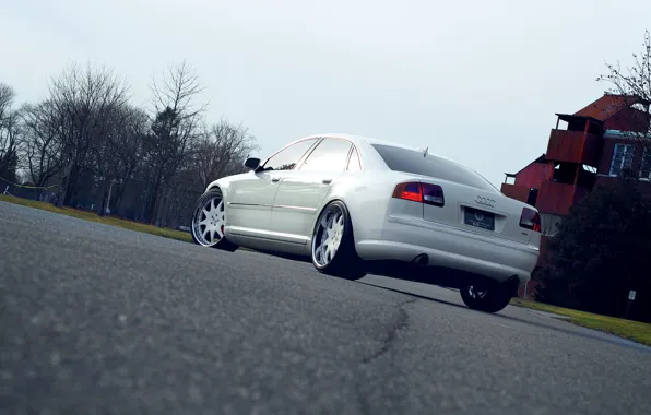 Audi, Ауди, Белый, Тюнинг