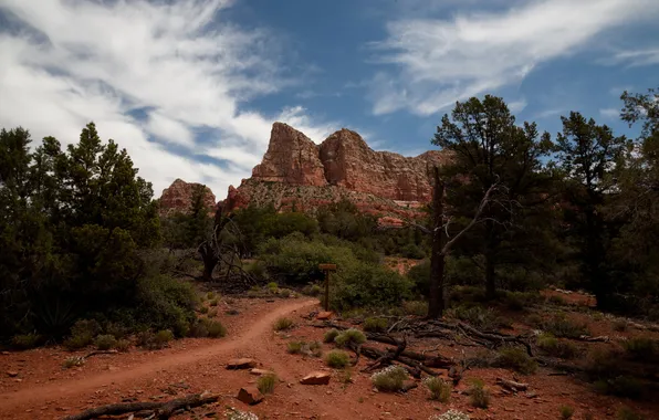 Картинка горы, природа, скала, фото, США, Arizona, Sedona
