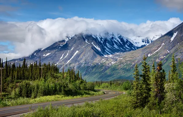 Картинка дорога, лес, облака, деревья, горы, Аляска, США, Alaska