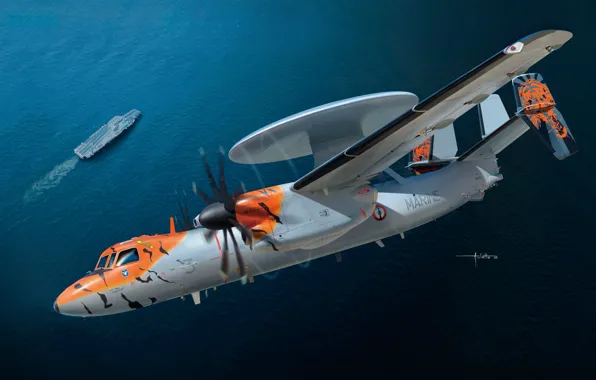Франция, США, дрло, Палубный, АВАКС, Auletta, Grumman E-2 Hawkeye, самолет-разведчик