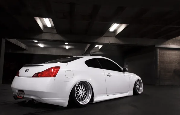 Картинка Infiniti, white, rear, stance, G35