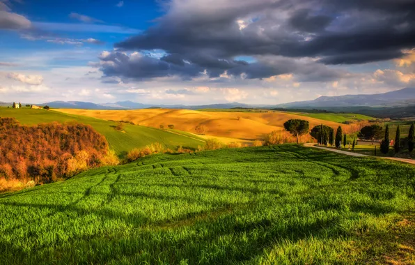 Картинка небо, трава, облака, деревья, поля, Италия, солнечно, луга