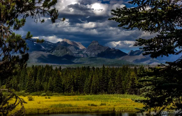 Картинка лес, облака, деревья, горы, река, Канада, Glacier National Park, Montana