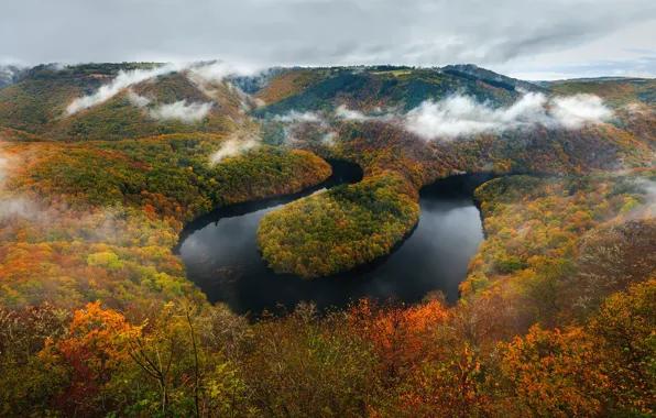 Картинка осень, деревья, река, леса