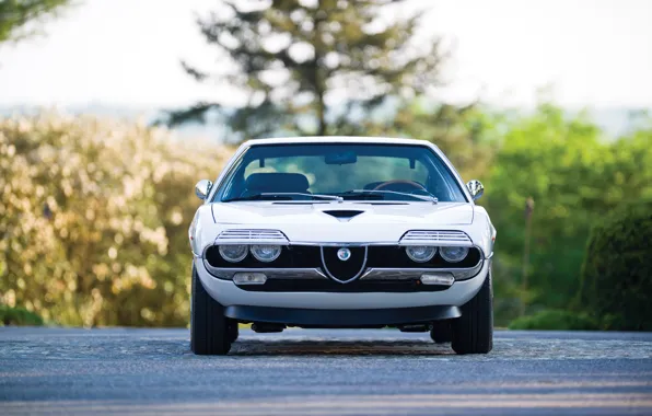 Alfa Romeo, front, Montreal, 1973, Alfa Romeo Montreal