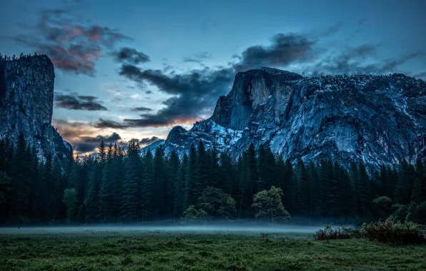 Облака, природа, туман, скалы, луг, Йосемити, Yosemite, California