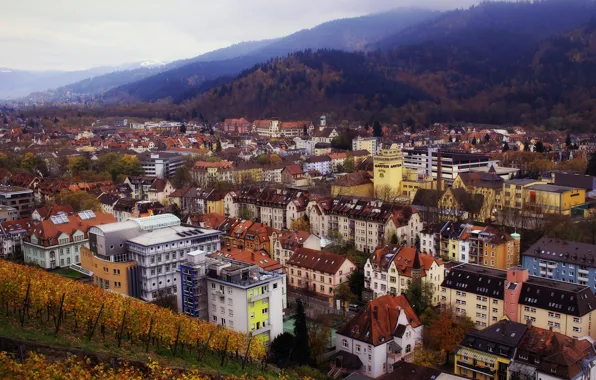 Картинка осень, лес, природа, город, холмы, здания, дома, Германия