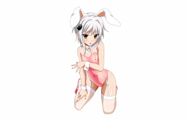 Girl, sexy, cleavage, thighhighs, legs, boobs, anime, beautiful