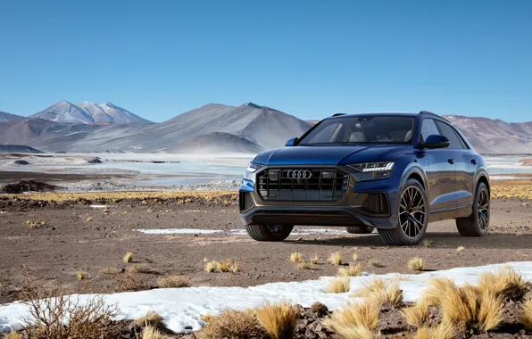 Quattro, 2018, кроссовер, S-Line, 55 TFSI, Audi Q8