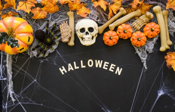 Картинка череп, паутина, кости, Halloween, тыква, skull, Хэллоуин, pumpkin
