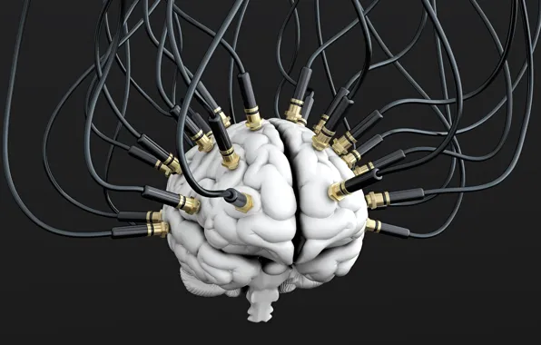 Картинка провода, кабели, мозг, brain