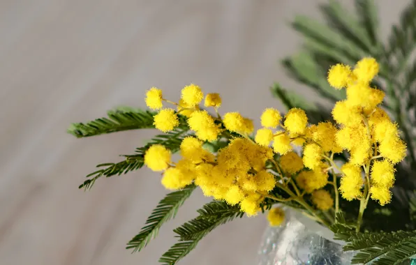 Цветы, букет, весна, желтые, ваза, цветение, боке, мимоза