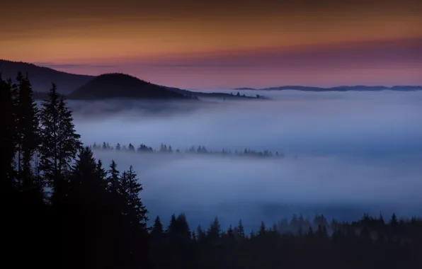 Картинка лес, горы, туман, рассвет, утро, дымка