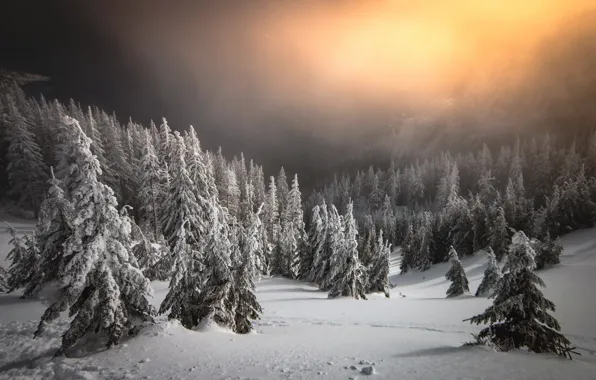 Картинка зима, закат, природа