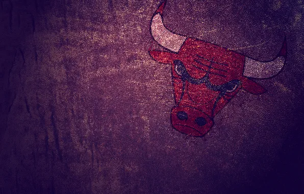 Картинка минимализм, кожа, Chicago Bulls, бык