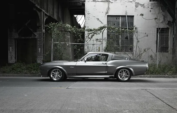 GT500, Ford Mustang, Shelby Eleanor, Форд Мустанг
