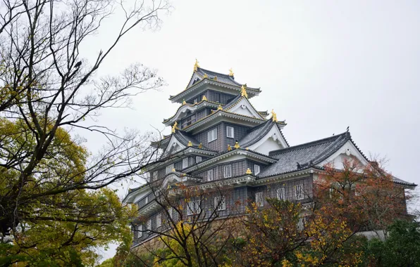 Осень, замок, Япония, Japan, Okayama