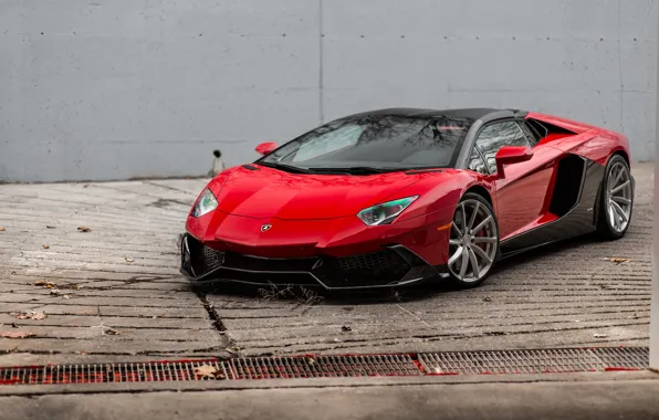 Картинка Roadster, Lamborghini, Red, Aventador, Anniversary, 50th