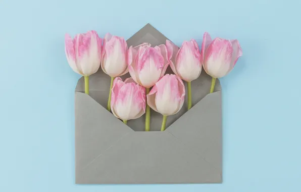 Цветы, букет, тюльпаны, розовые, fresh, pink, flowers, конверт