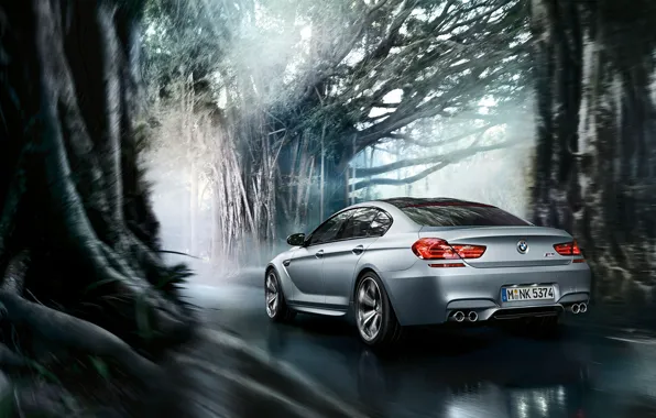 Картинка BMW, Coupe, Gran Coupe, Tuning, Road, Motion, Trees, Forrest