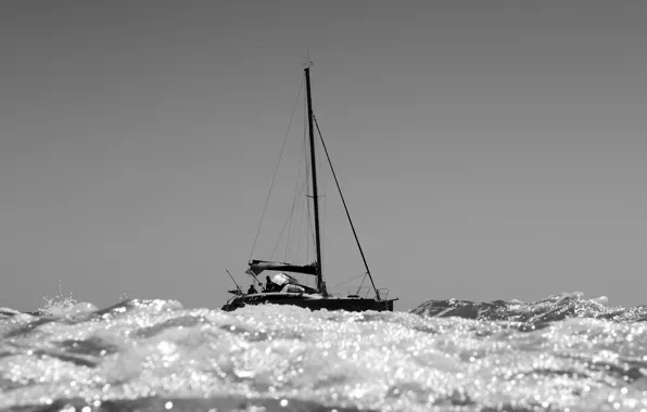 Sea, sailing, catamaran