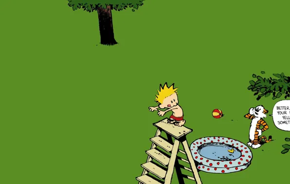 Comics, cartoons, calvin and hobbes