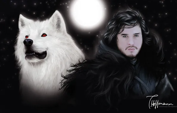 Картинка white, Ghost, Game of Thrones, Jon Snow, Kit Harington, HBO, darewolf