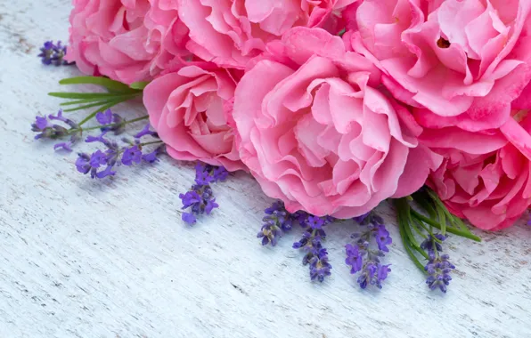 Картинка цветы, розовые, pink, flowers, лаванда, пионы, lavender, peonies