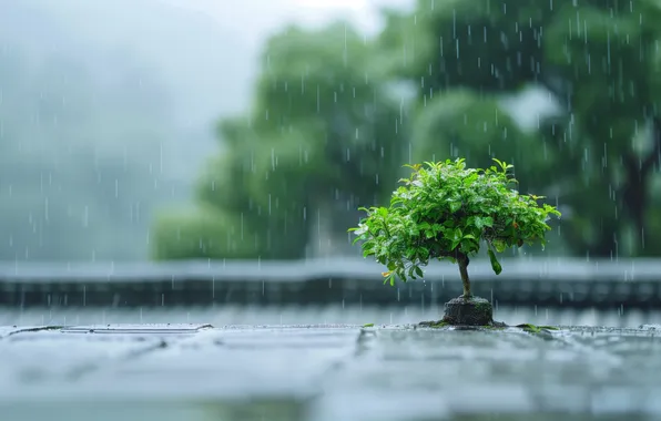 Картинка rain, depth of field, AI art, bonzai