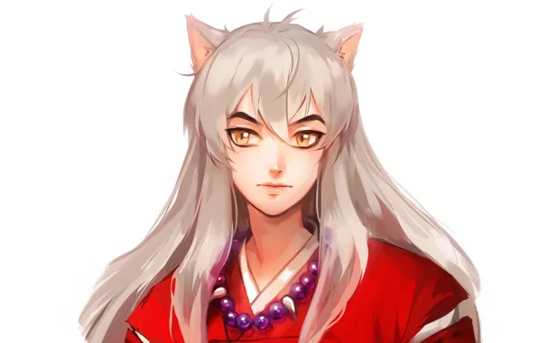 Взгляд, парень, ушки, полудемон, Inuyasha, Инуяша