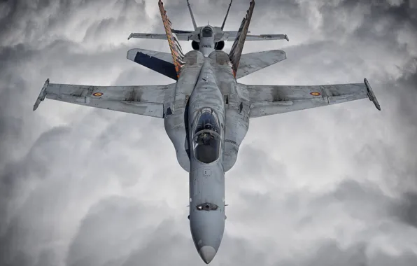 Истребитель, Пилот, Облока, F/A-18 Hornet, Кокпит, ВВС Испании, ПТБ