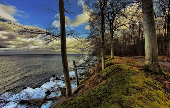 Картинка море, осень, небо, облака, деревья, природа