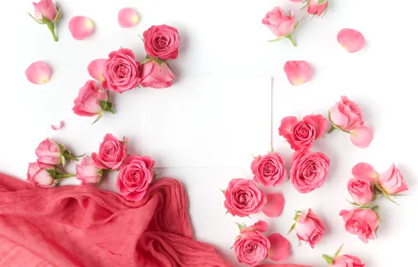 Картинка розы, бутоны, pink, flowers, romantic, roses, valentine`s day