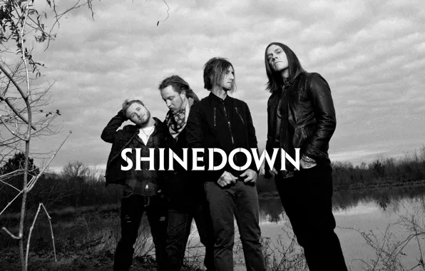 Музыка, music, альтернативный метал, Shinedown, американская рок-группа