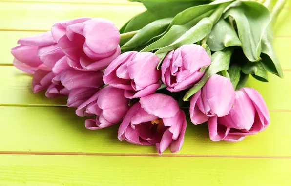 Цветы, букет, тюльпаны, wood, pink, flowers, tulips, spring