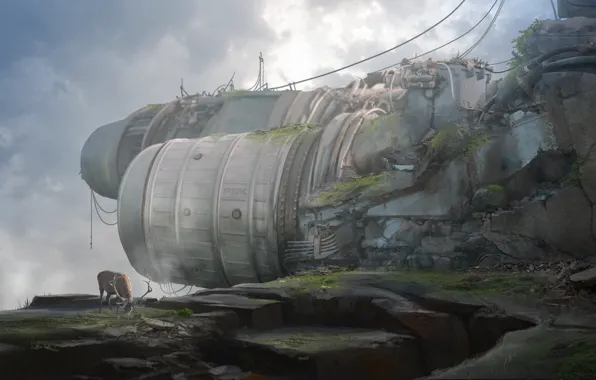 Провода, олень, Cliffs, the clash between nature Vs industrialization, 4th World