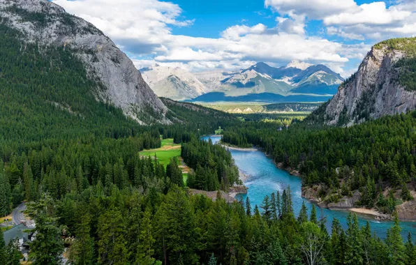 Картинка лес, горы, река, берег, вид, ели, склон, водоем