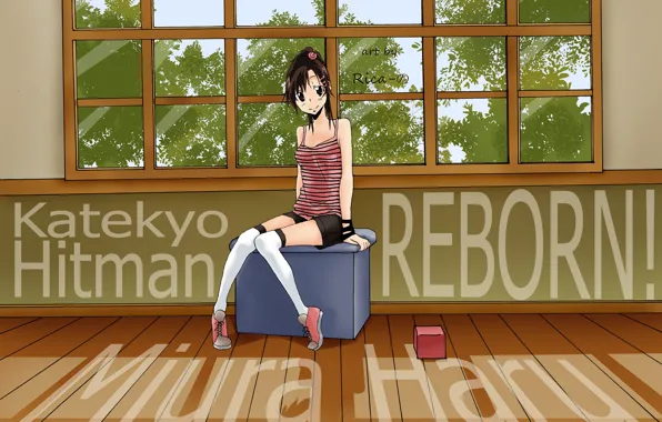 Katekyo Hitman REBORN, Учитель мафиози Реборн, Miura Haru