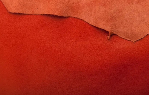 Кожа, рыжий, texture, background, leather