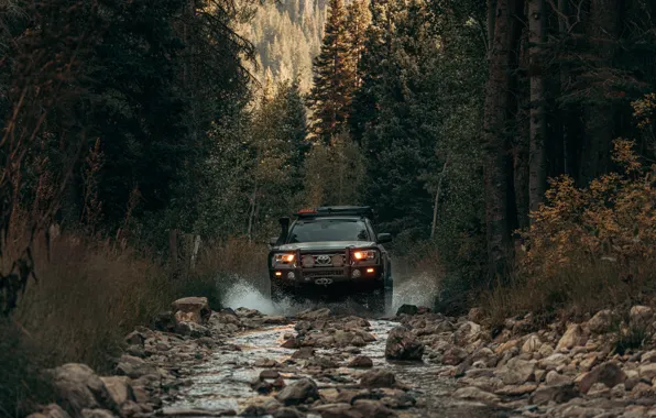 Грязь, бездорожье, Toyota, Tacoma, Off road, 2021