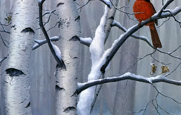 Зима, лес, снег, ветки, красный, природа, дерево, птица