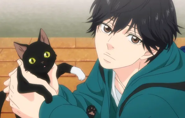 Cat, Male, Screenshot, Mabuchi Ko, Ao Haru Ride