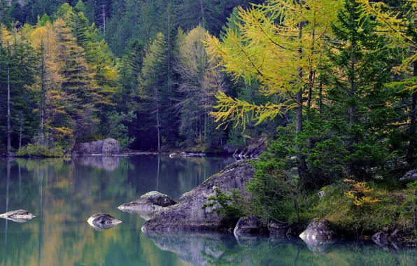 Картинка осень, лес, деревья, горы, озеро, камни