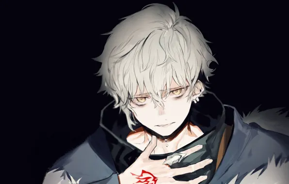 Парень, Fate / Grand Order, Судьба великая кампания, Kadoc Zemlupus