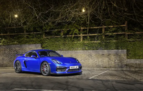 Картинка porsche, blue, night, cayman, GT4