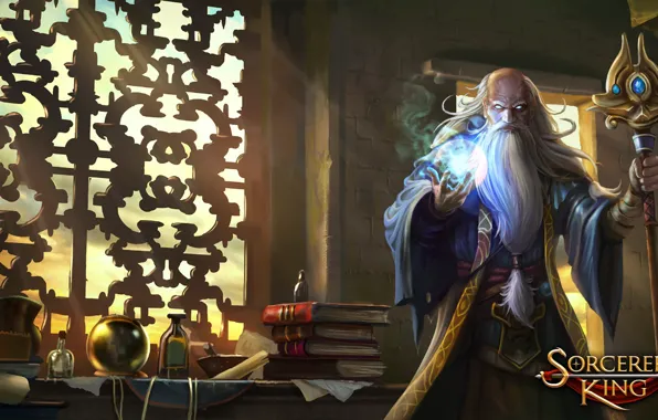 Книги, шар, посох, колдун, Sorcerer King