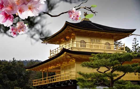 Картинка крыша, цветы, вишня, дерево, ветка, Япония, сакура, розовые