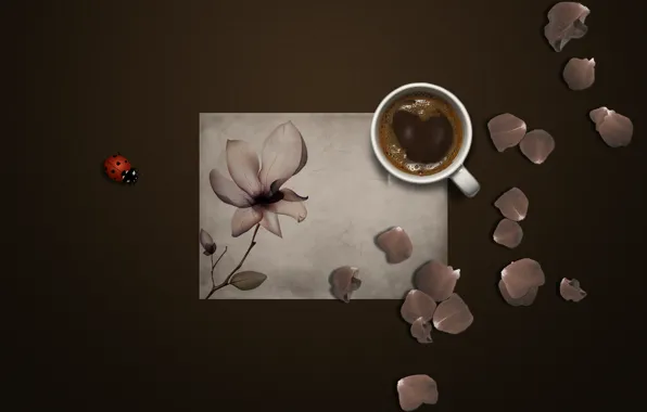 Картинка кружка, фон, бумага, божья коровка, кофе, цветок, лепестки, насекомое
