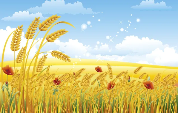 Картинка пшеница, лето, облака, маки